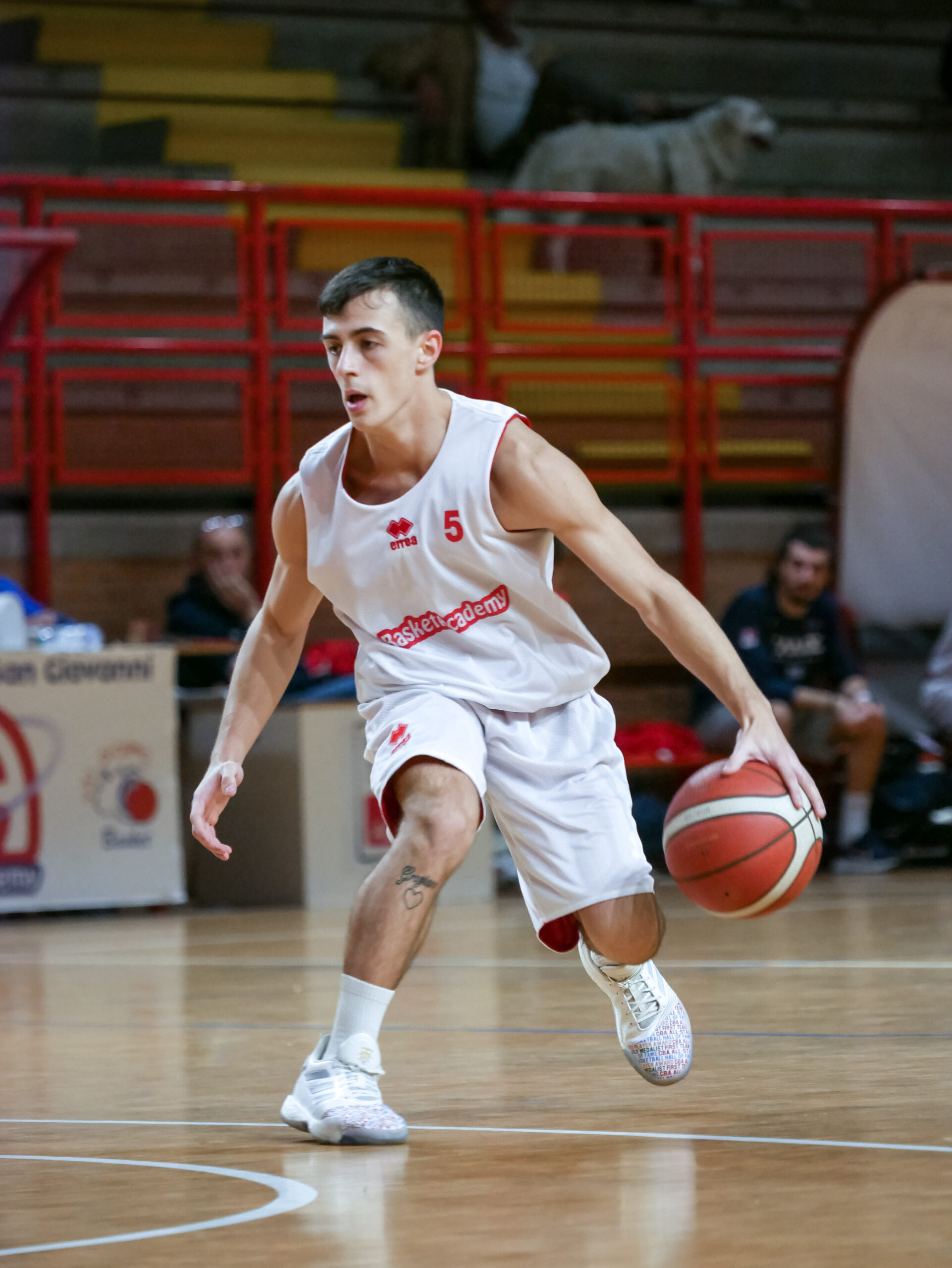 Cignarini pontevecchio basket serie d