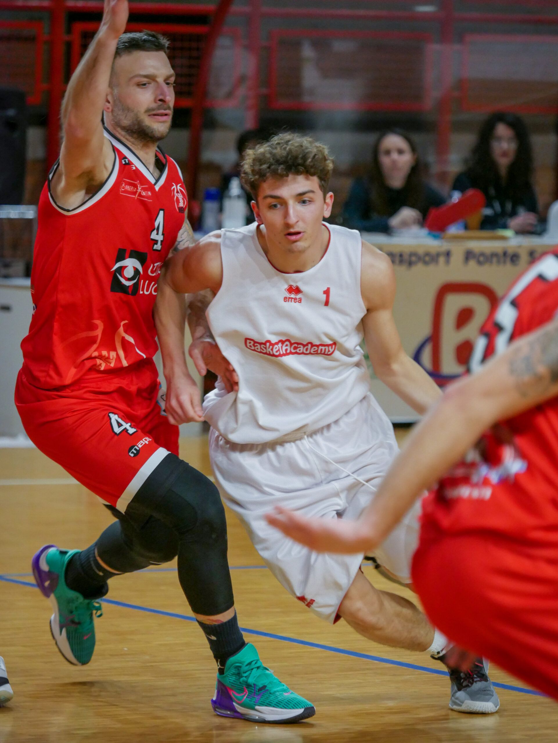 pontevecchio basket nestor