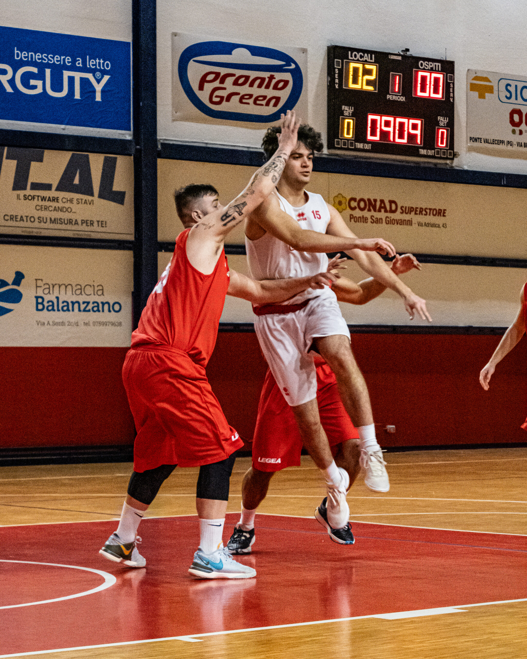 divisione regioanle 1 pontevecchio basketball